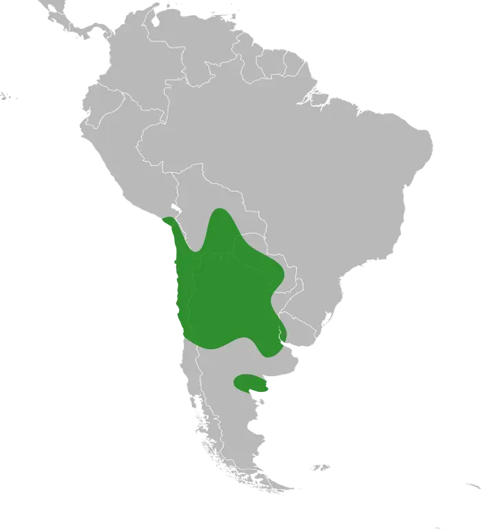 South America Map with Green Region Highlight