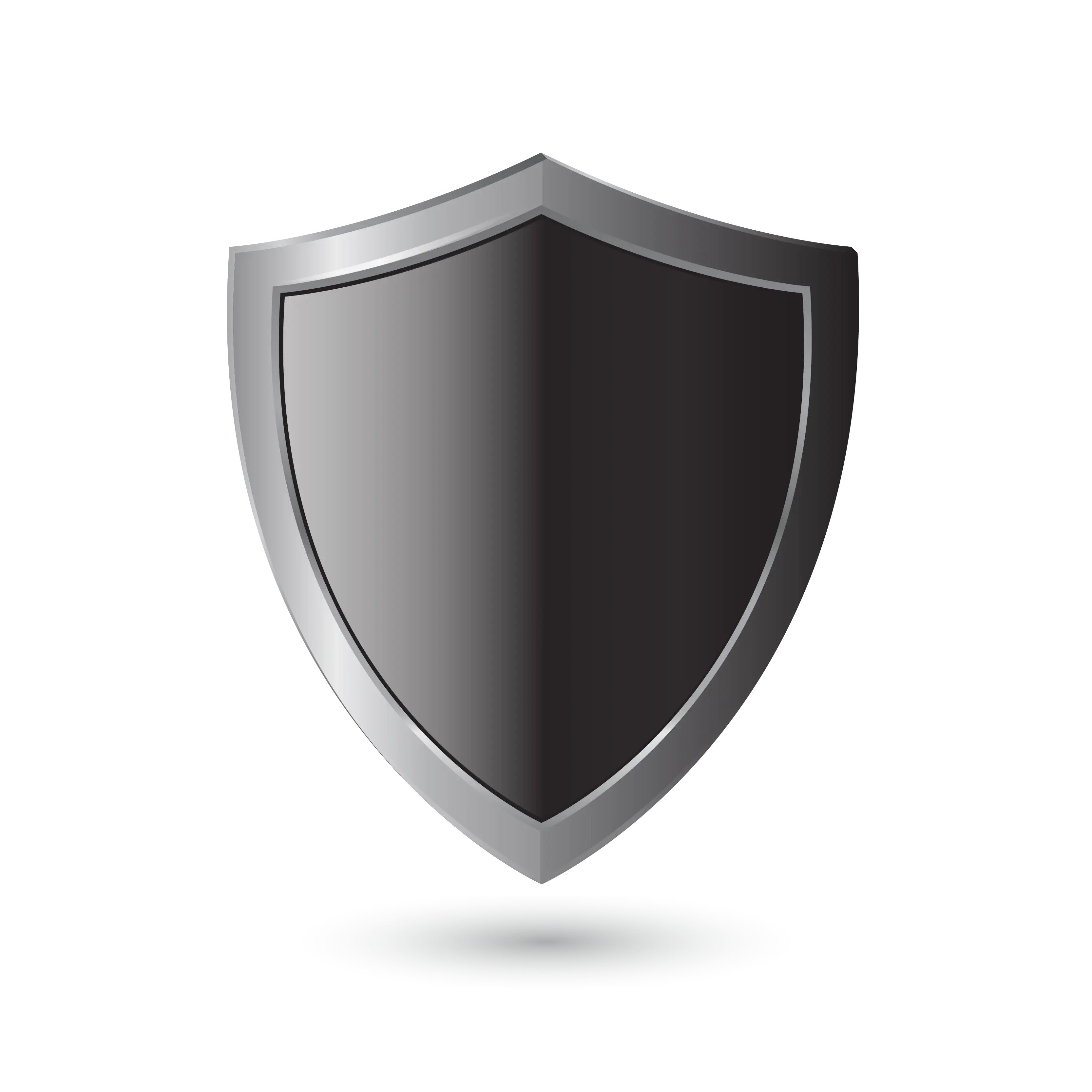 Black and Silver Shield
