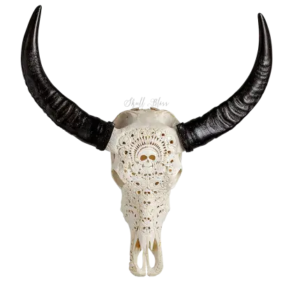 Carved Skull with Intricate Horn Design