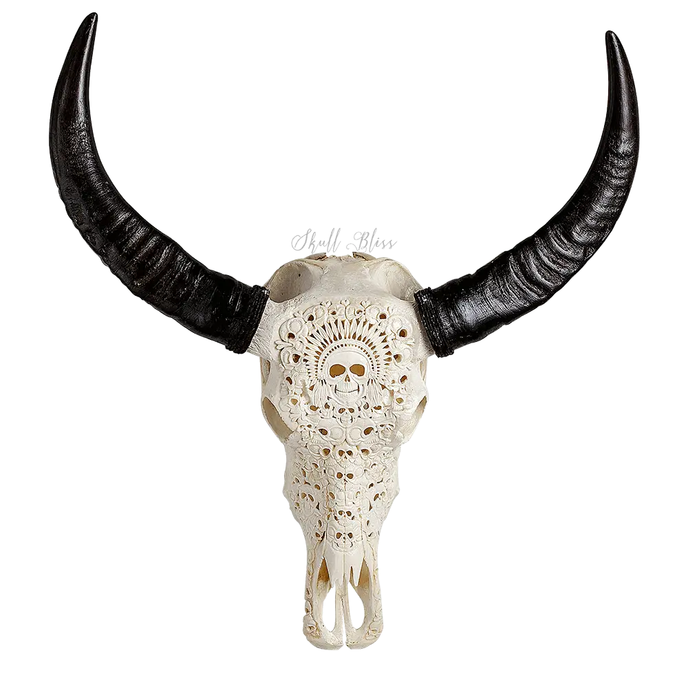 Carved Skull with Intricate Horn Design
