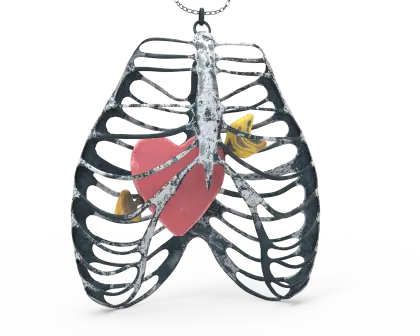 Ribcage with Heart Inside