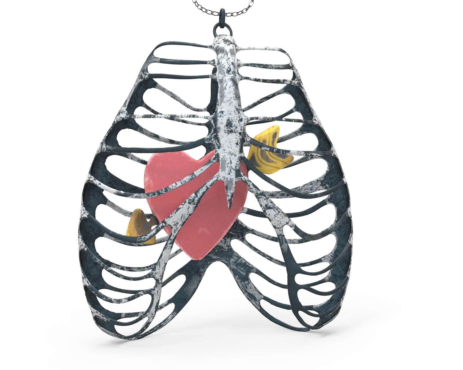 Ribcage with Heart Inside