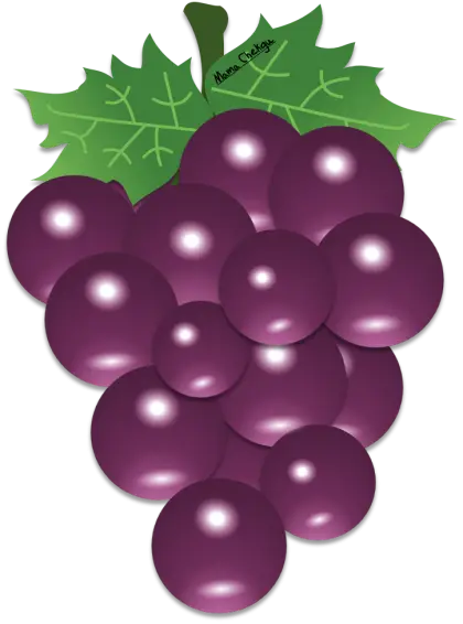 Purple Grapes Bunch Cartoon Drawing