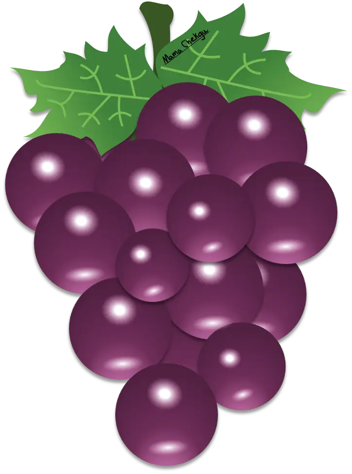 Purple Grapes Bunch Cartoon Drawing