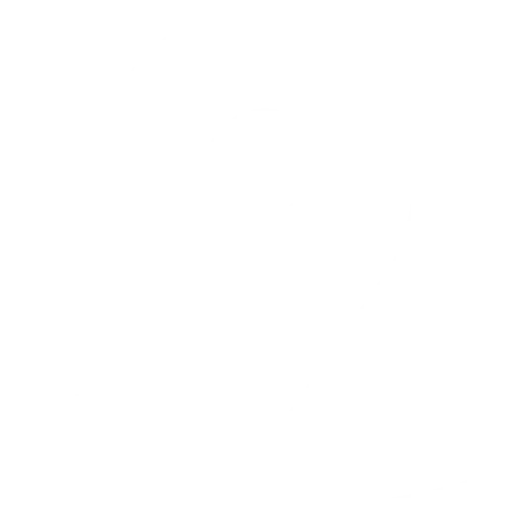 White Simple Location Icon