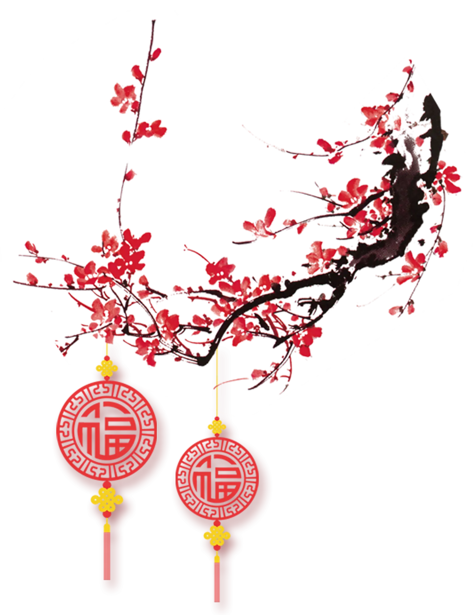 Red Lanterns Hanging on Cherry Blossom Branch