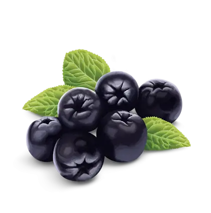 Fresh Blackberries with Green Leaves