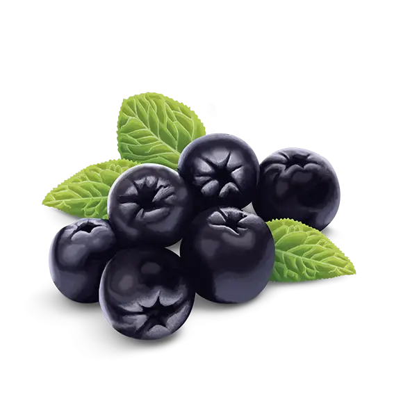 Fresh Blackberries with Green Leaves