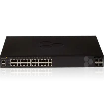 Ethernet Network Switch with Multiple Ports
