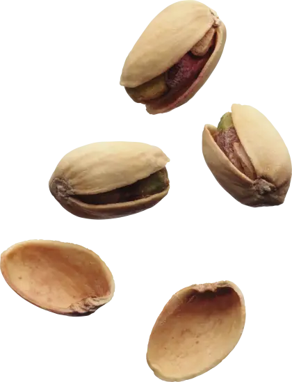 Pistachio Nuts with Shells