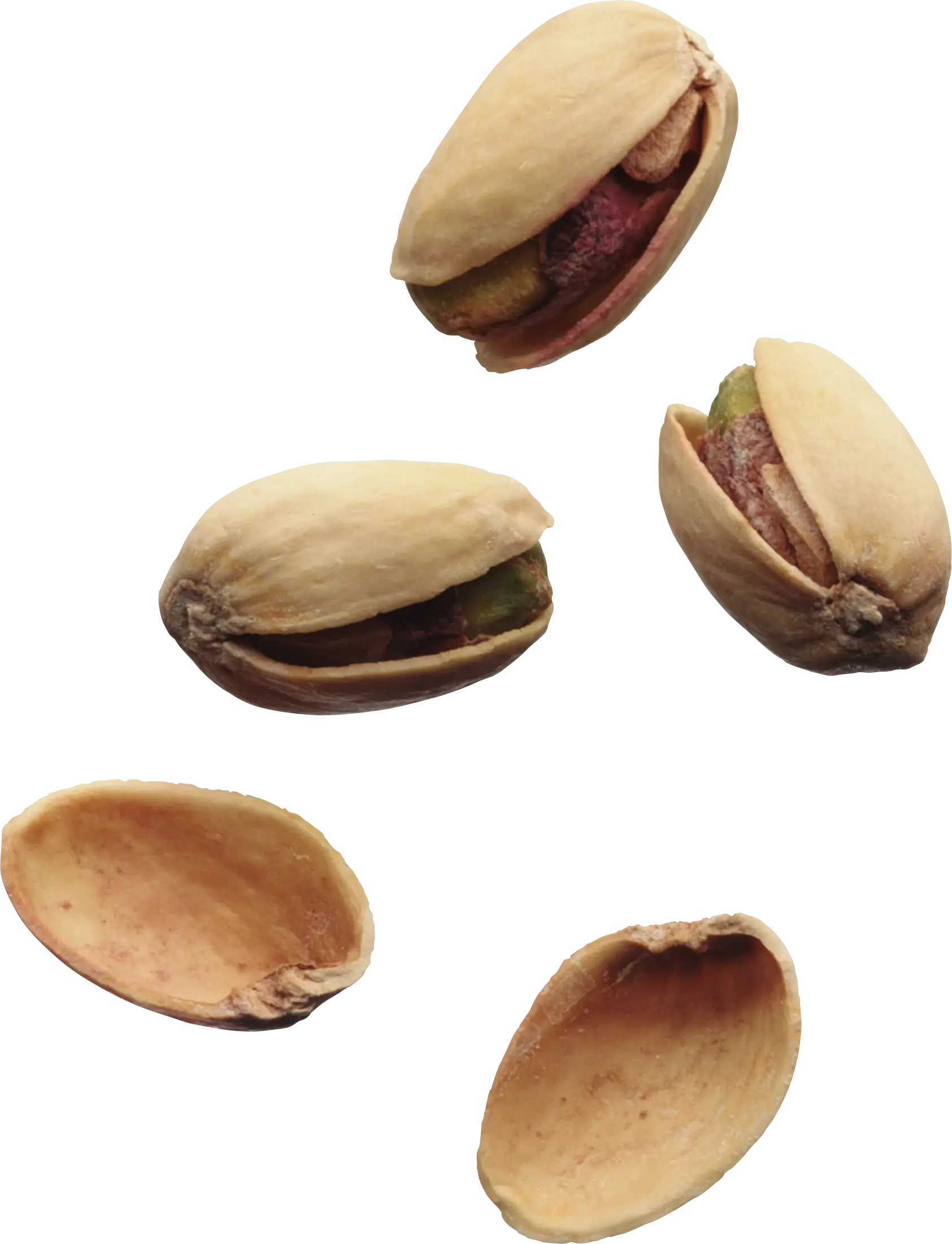 Pistachio Nuts with Shells