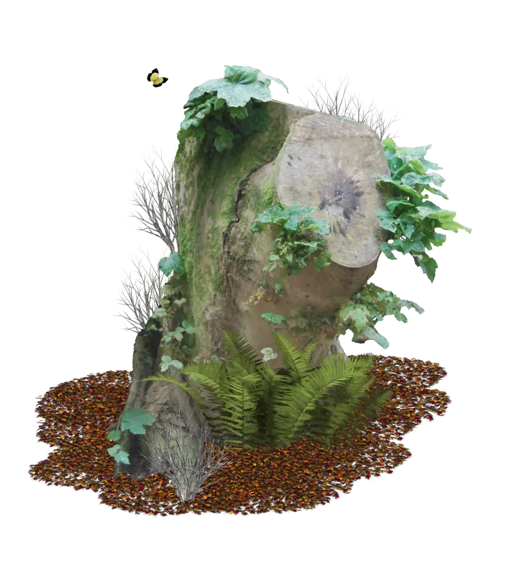 Tree Stump with Plants and Moss