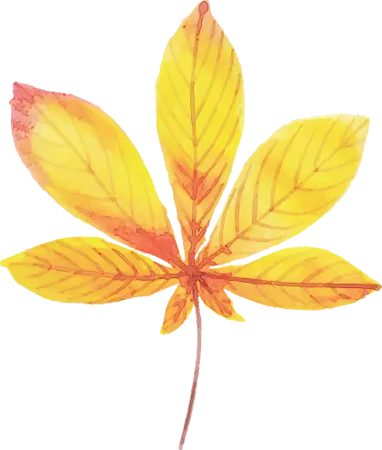 Yellow Watercolor Autumn Leaf Art