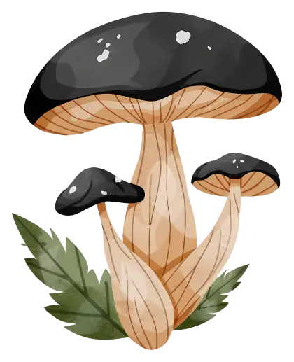 Artistic Depiction of Black Mushrooms in Nature