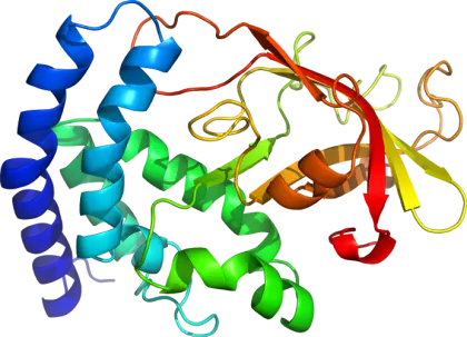 Scientific Illustration of Protein Structure