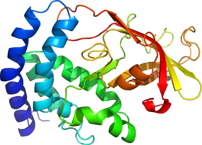 Scientific Illustration of Protein Structure