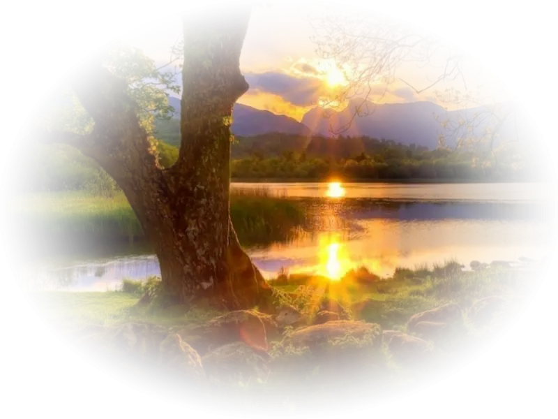 Beautiful Sunset by the Lake