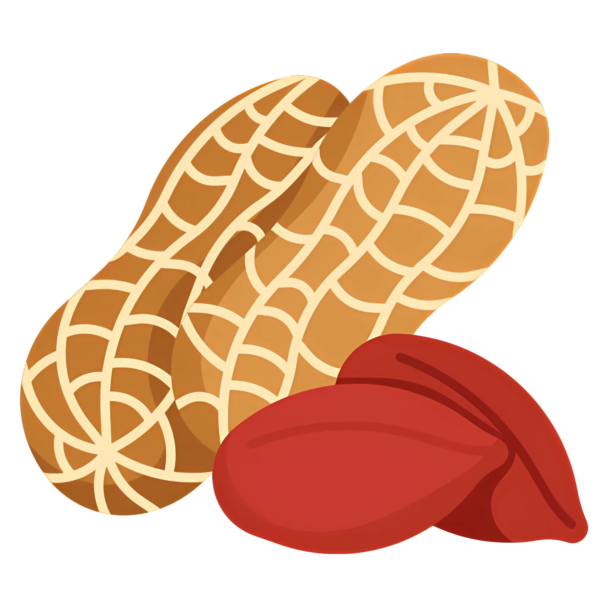 Peanuts with Shell and Kernels