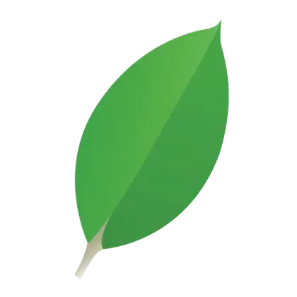 Bright Green Leaf Illustration