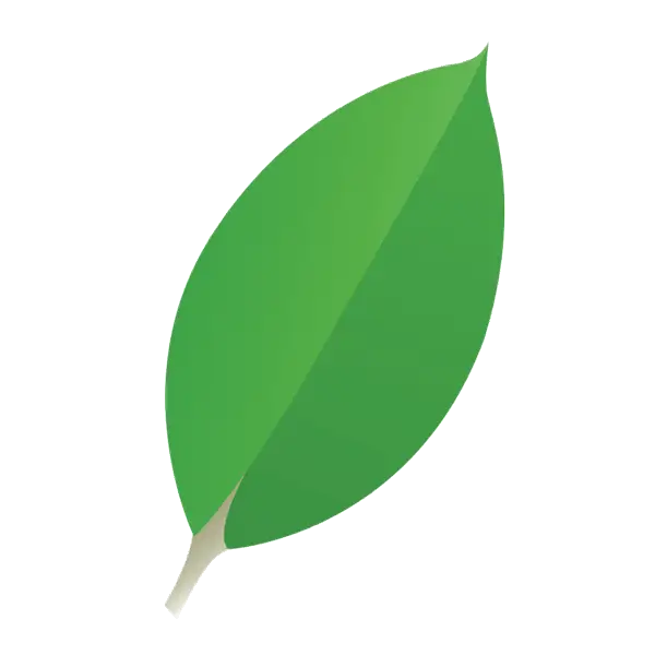 Bright Green Leaf Illustration