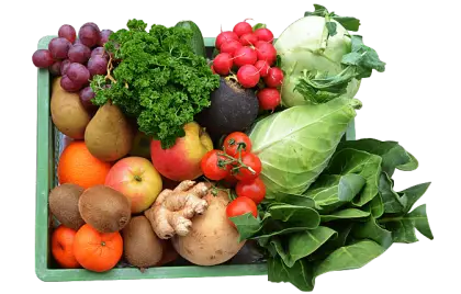 Assorted Fresh Vegetables for Healthy Eating