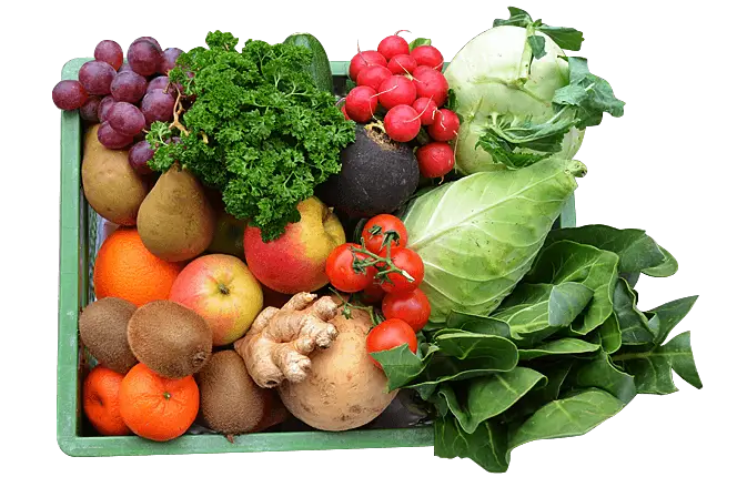 Assorted Fresh Vegetables for Healthy Eating