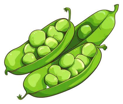 Fresh Green Pea Pods Full of Life