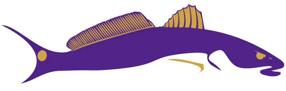 Purple Fish Illustration Representing Marine Life