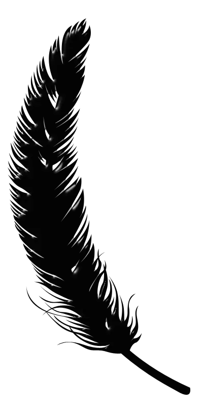 Black Feather Silhouette