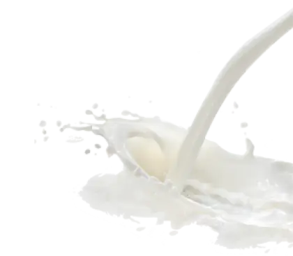 Milk Splash in Motion