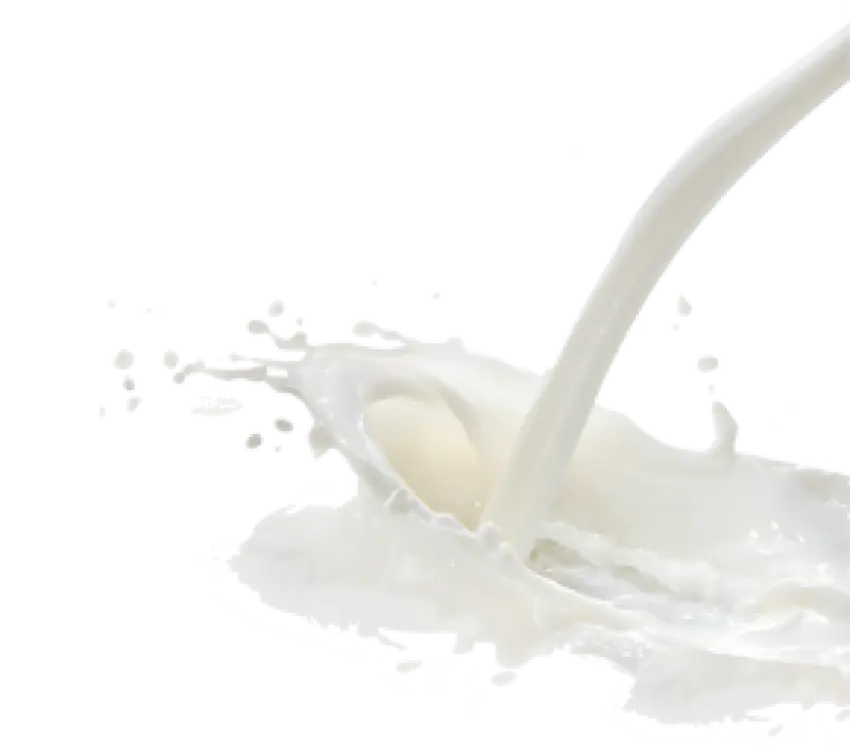 Milk Splash in Motion