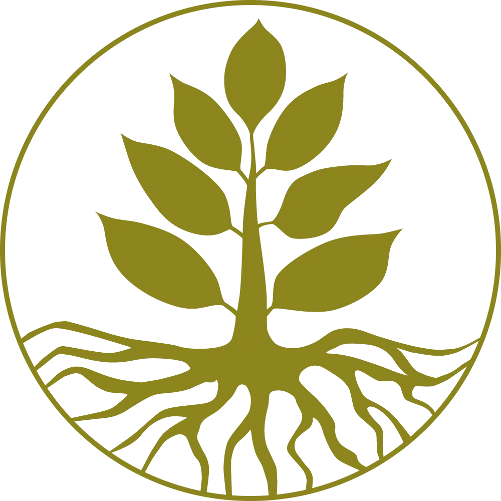 Tree with Roots in Circular Frame