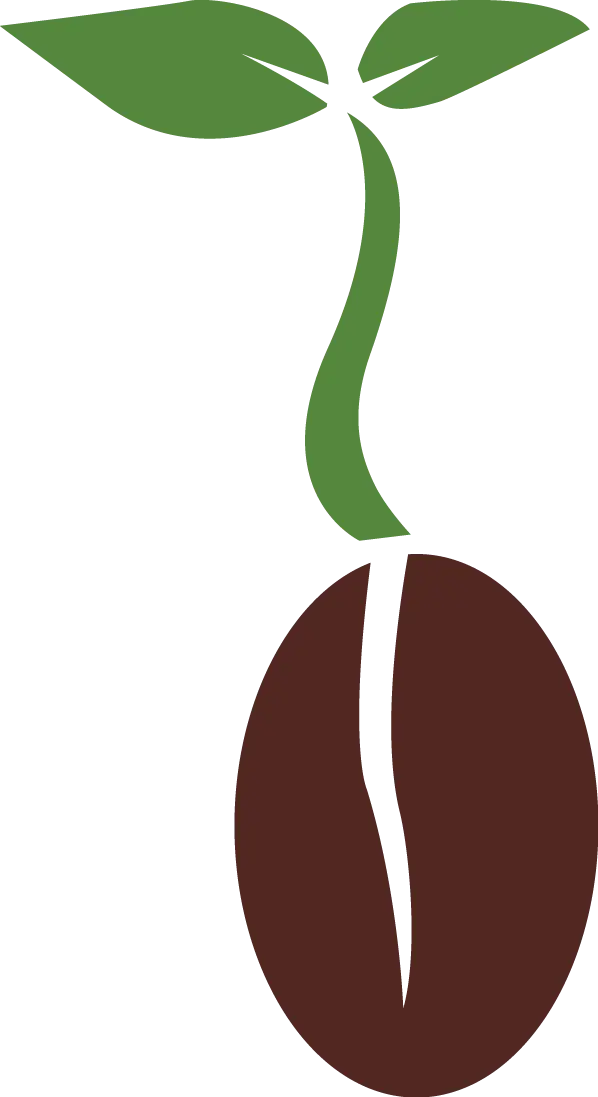 Sprouting Seed Illustration