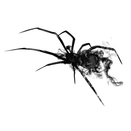 Spider Illustration with Smoky Effect