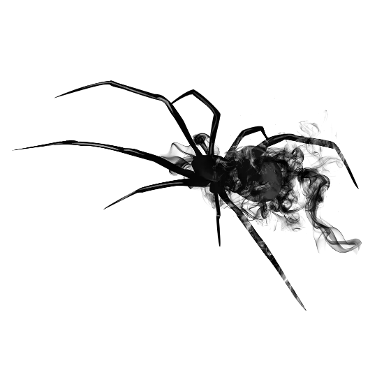 Spider Illustration with Smoky Effect