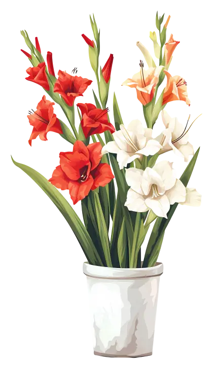 Gladiolus Flowers in a White Pot