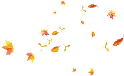 Falling Autumn Leaves Illustration