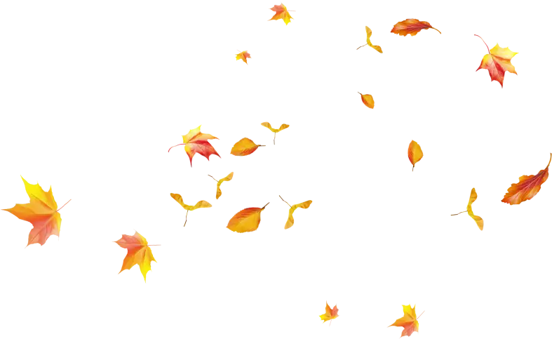 Falling Autumn Leaves Illustration