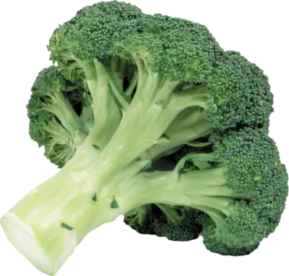 Fresh Green Broccoli Vegetable