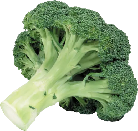 Fresh Green Broccoli Vegetable