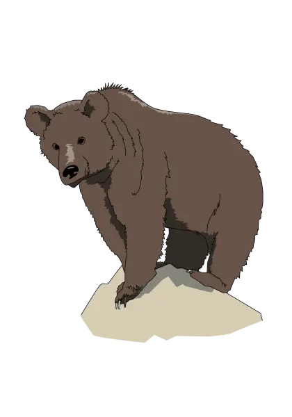 Brown Bear on Rock