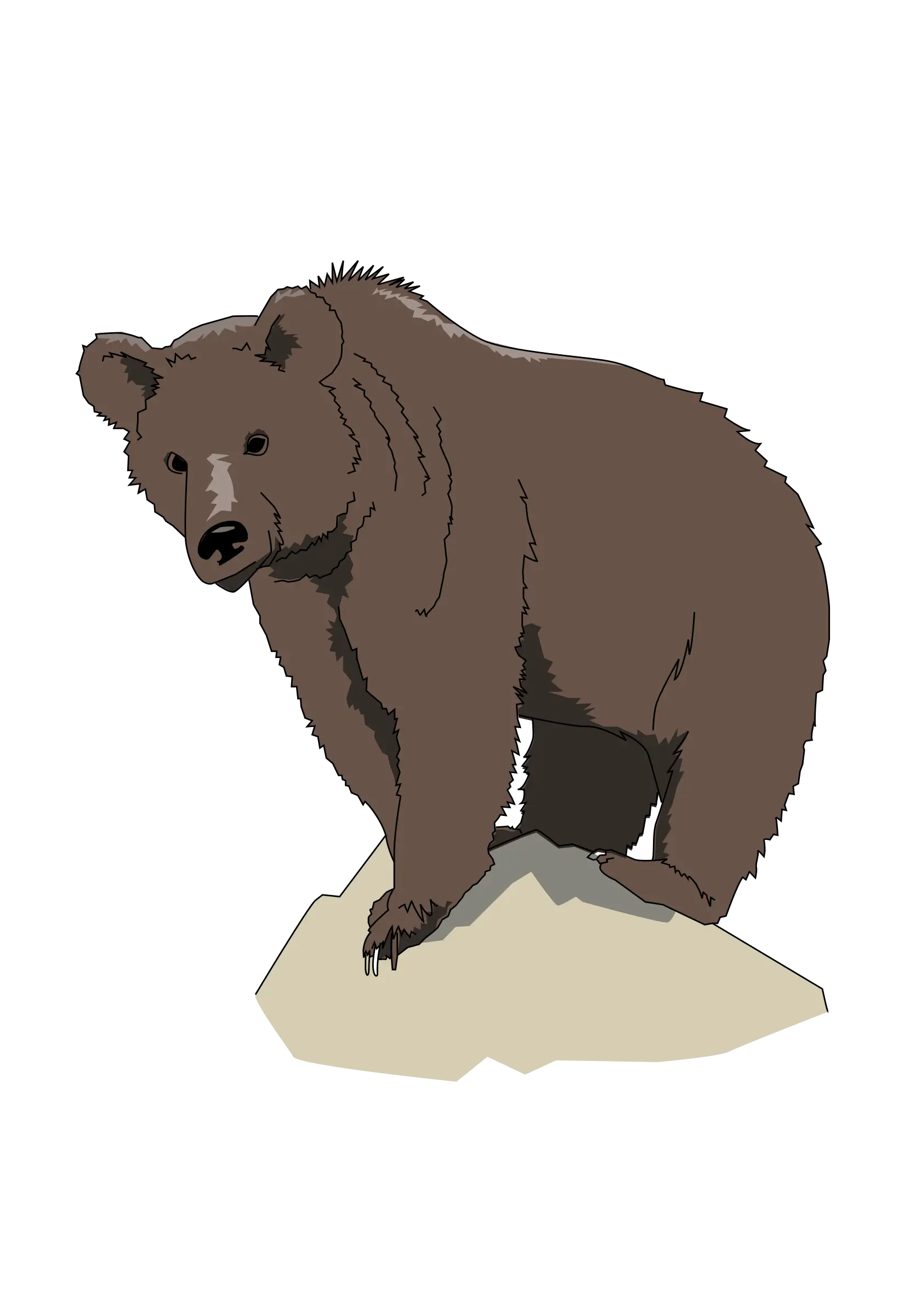 Brown Bear on Rock