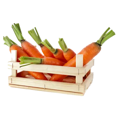 Fresh Carrots in Wooden Crate
