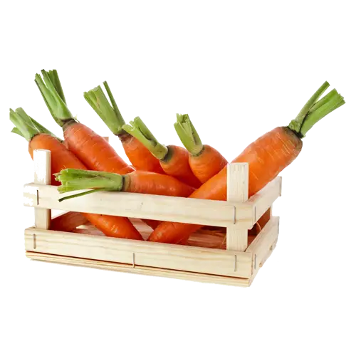 Fresh Carrots in Wooden Crate