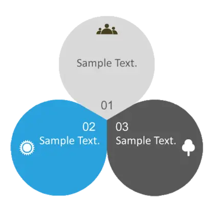 Infographic Circles with Sample Text