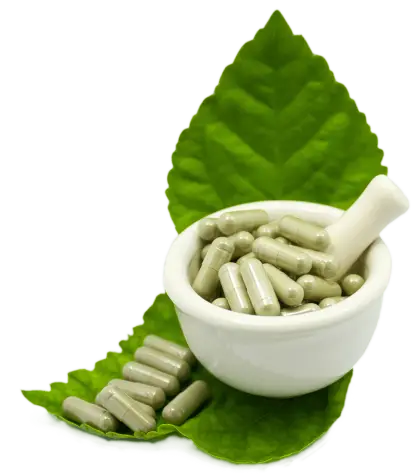Herbal Capsules with Leaf