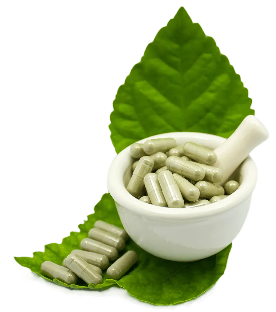 Herbal Capsules with Leaf