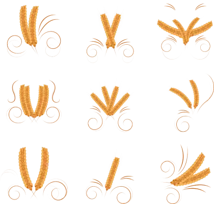 Various Wheat Arrangements