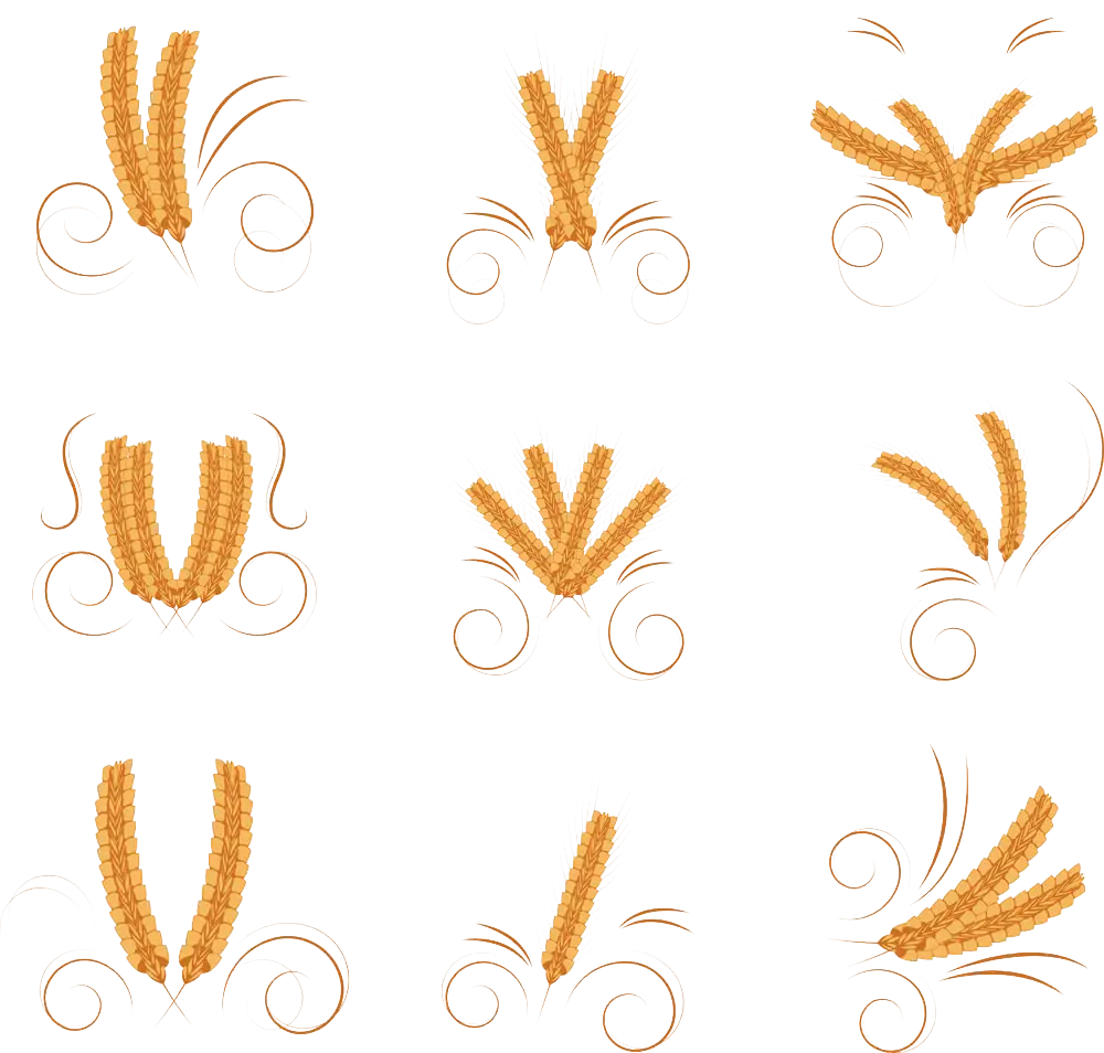Various Wheat Arrangements