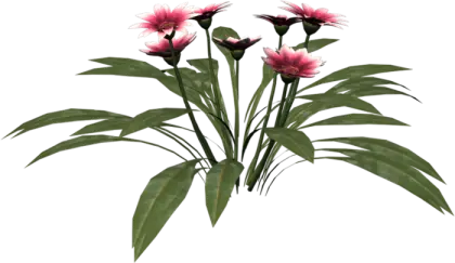 Pink Flowers with Vibrant Green Leaves